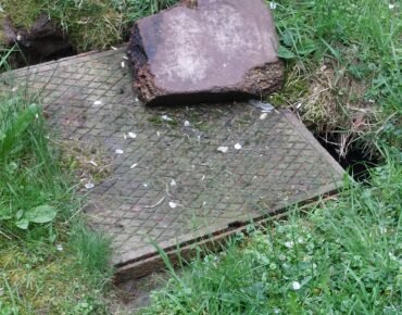 rats des égouts - se débarrasser des rats - comment tuer des rats ?
